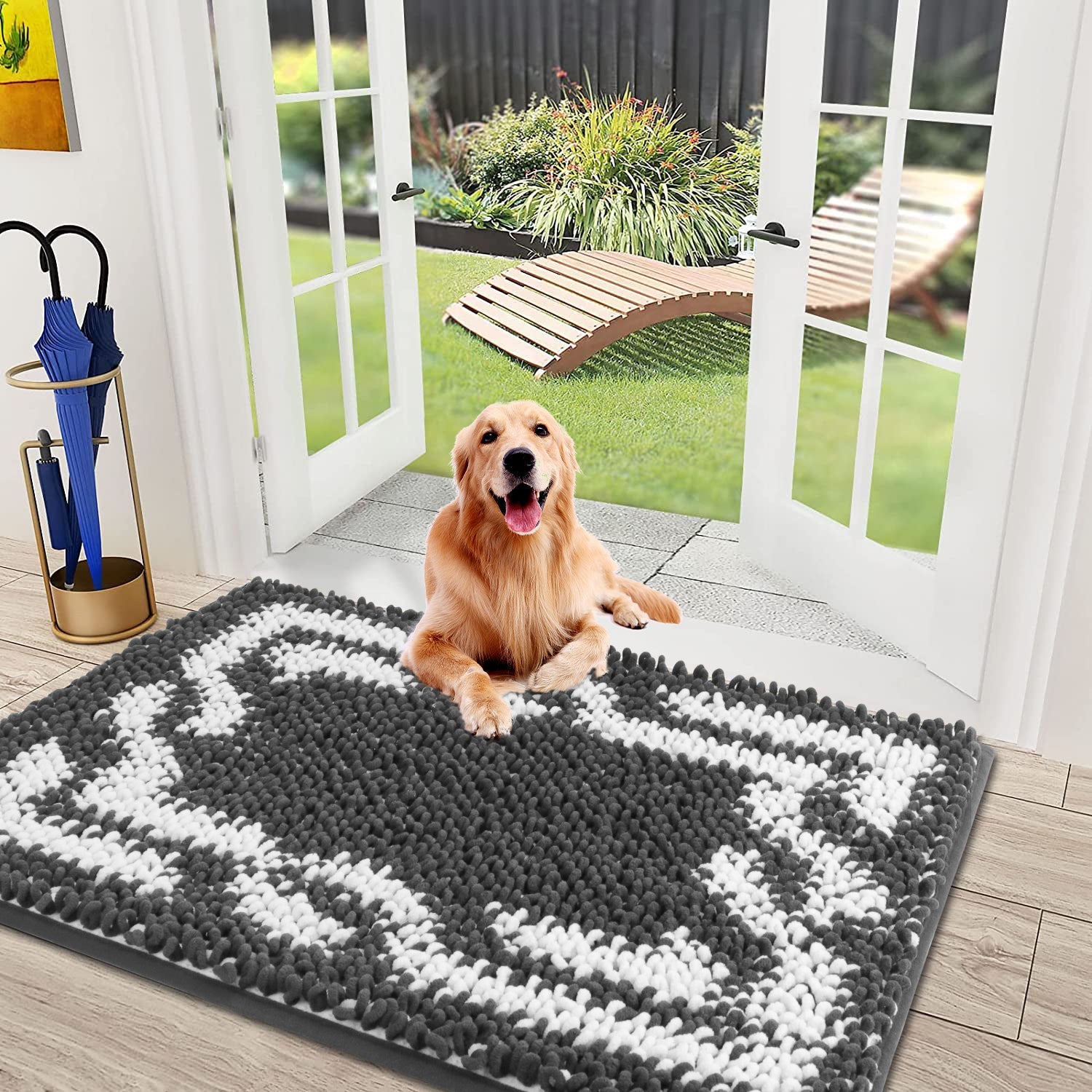 Indoor Door Mats Machine Washable Rugs 24x17 Inch Small Door Mat