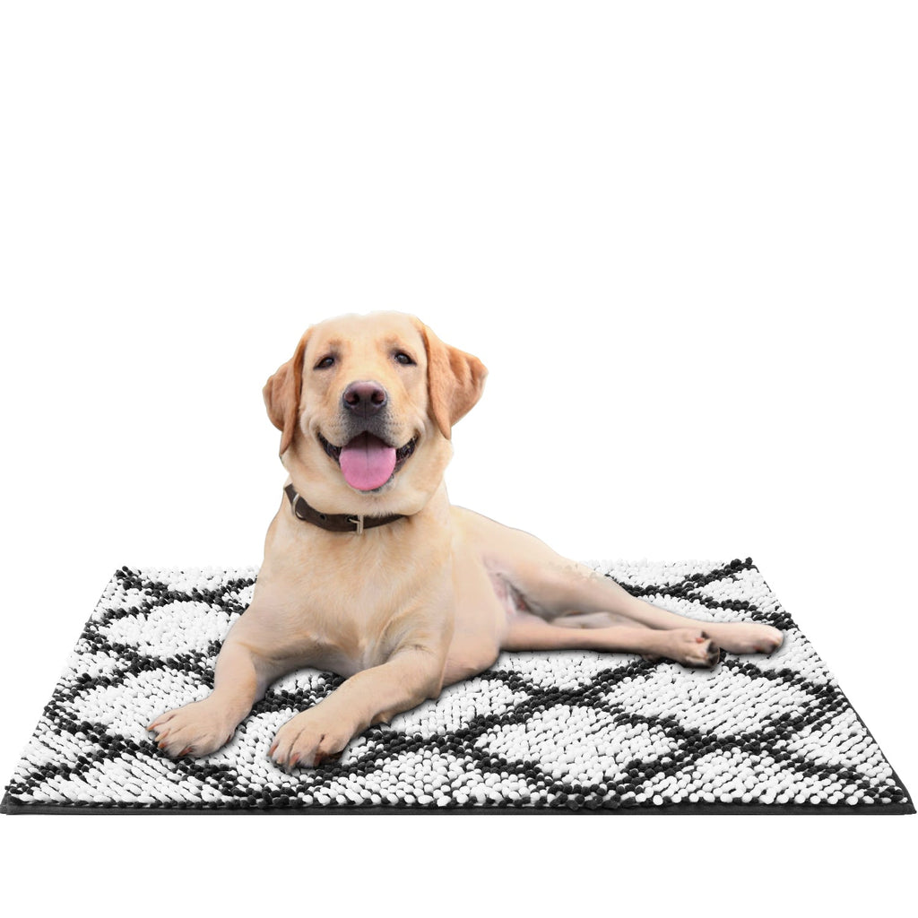 Indoor Door Mats Machine Washable Rugs 24x17 Inch Small Door Mat