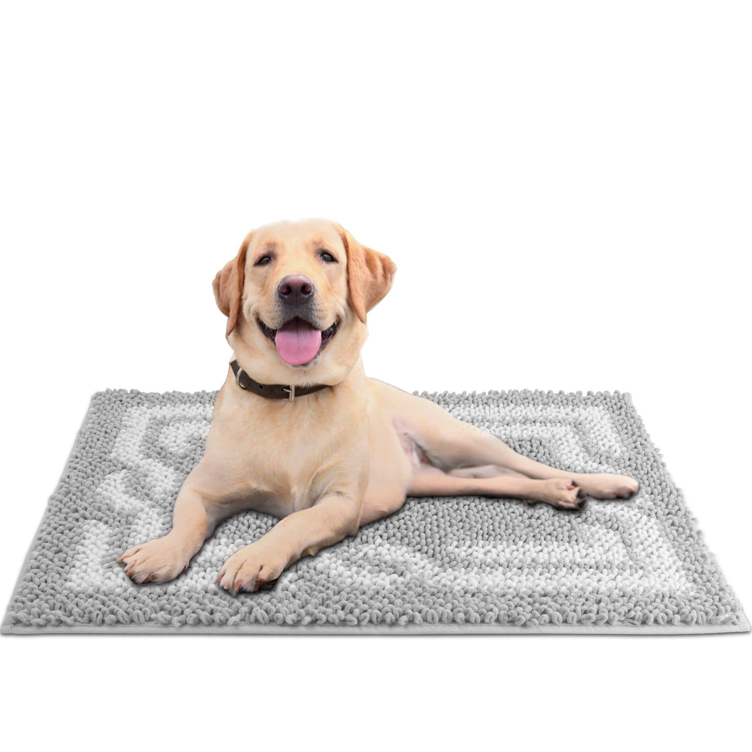 Indoor Door Mats Machine Washable Rugs 24x17 Inch Small Door Mat